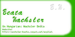beata wachsler business card